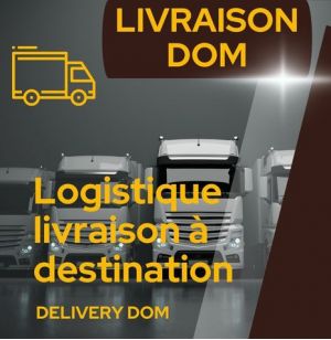 MESSAGERIE CAMION DOM 8.5 - IMPORT1000
