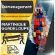 DEMENAGEMENT MARTINIQUE / GUADELOUPE - 1 container 20 FT - Entrepôt à entrepôt