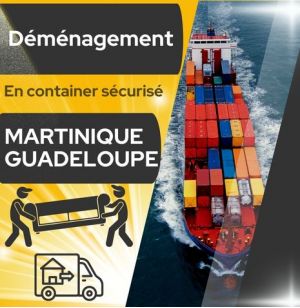 DEMENAGEMENT MARTINIQUE / GUADELOUPE - 1 container 20 FT - Entrepôt à entrepôt