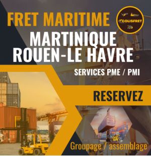 Rouen (Port 76) depuis la Martinique, fret Maritime 1 M3 - dédouané, remise a quai, hors droits et taxes / hors crédit d'enlèvem