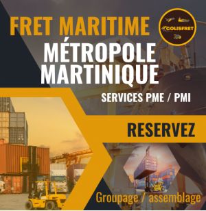 MARTINIQUE depuis la Métropole, fret Maritime 1 M3 - dédouané, livré (zones accessibles) hors droits et taxes