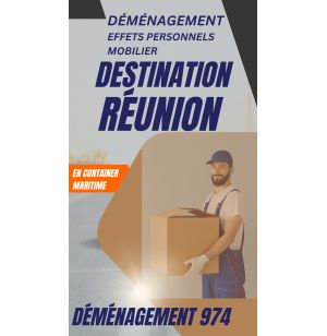 DEMENAGEMENT PARIS - REUNION container GRAND FORMAT