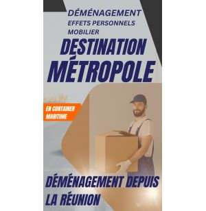 REUNION PARIS DEMENAGEMENT (IDF)