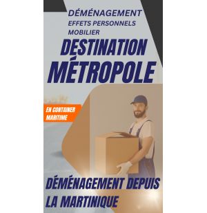 DEMENAGEMENT MARTINIQUE PARIS(IDF) 1 M3